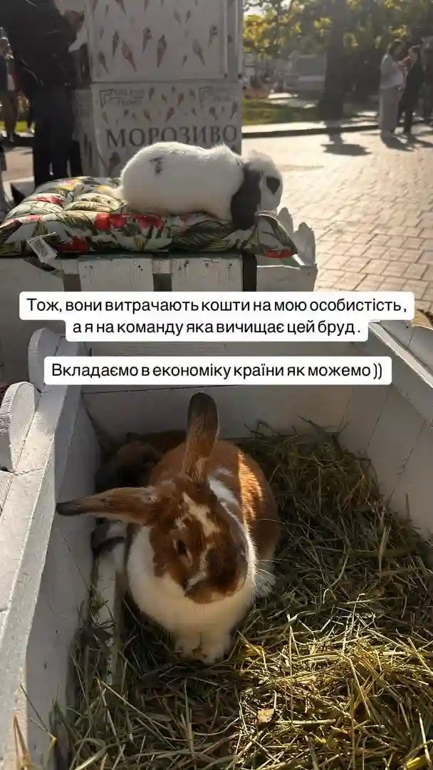 Ксенія Мішина заявила про бот-атаку на свій Instagram: акторка підозрює навмисну кампанію проти себе